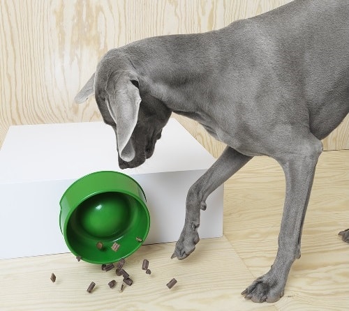 イケアからペット用品シリーズが誕生！猫ハウスや爪とぎを発売するニャ Cat Press（キャットプレス）