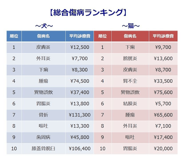 猫の傷病ランキング2018が公表！件数の1位は下痢、最も高額なのは異物誤嚥 Cat Press
