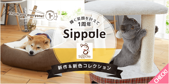 猫の体にフィットする専用ビーズクッションも！ペット用品ブランドのSippoleから新作が登場 Cat Press（キャットプレス）