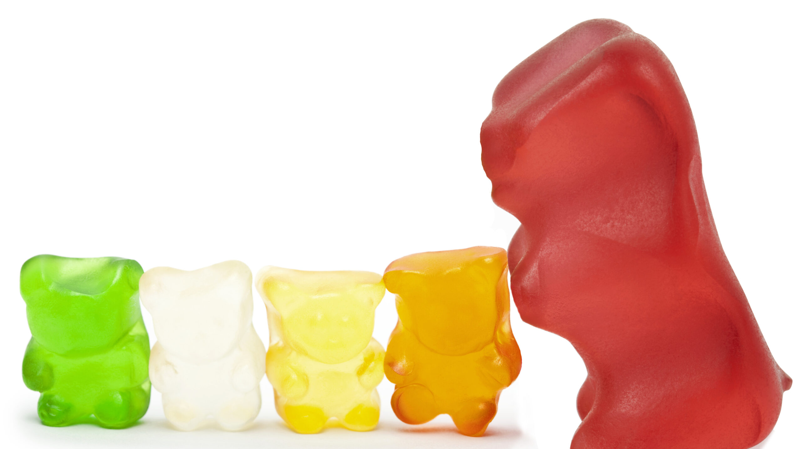 Battle of the Brands Gummy Bear Challenge cat[&]tonic