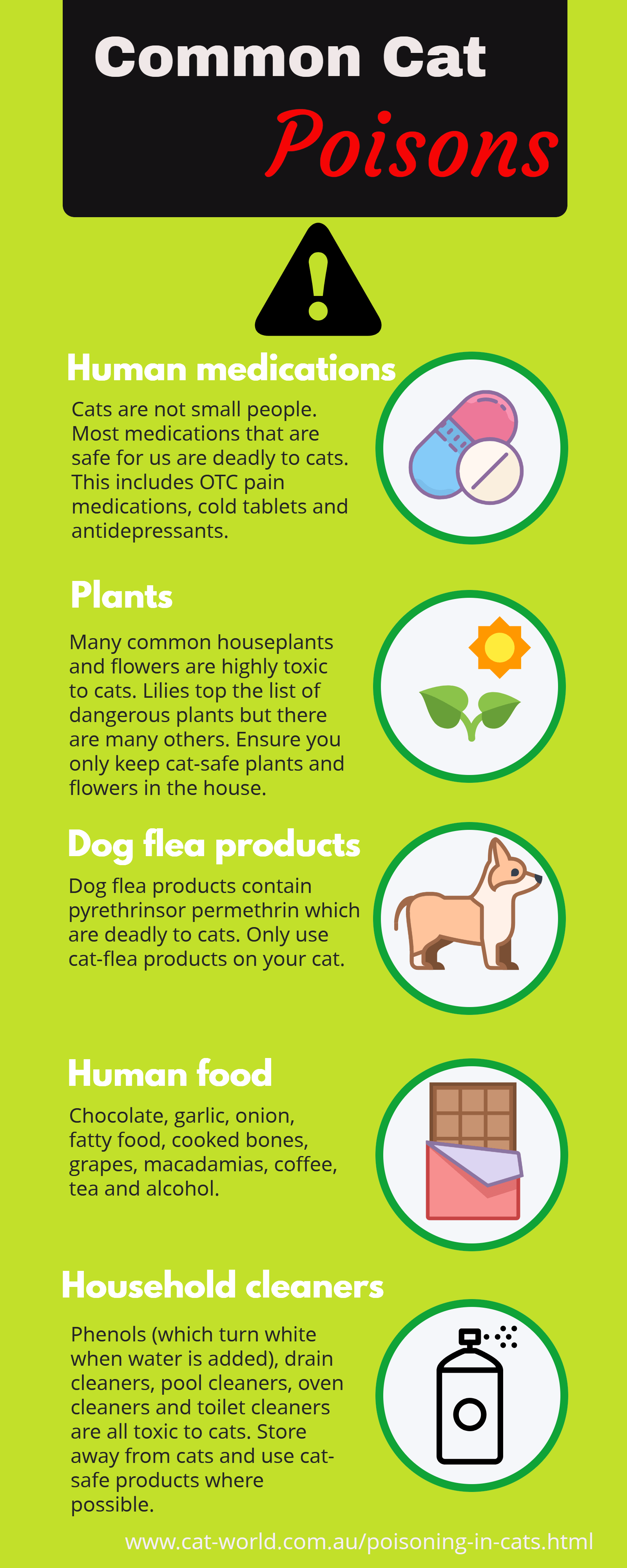 Cat Infographics CatWorld