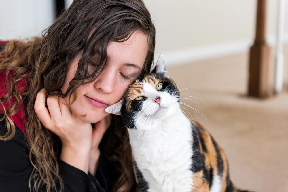 What Does It Mean When A Cat Rubs You at Christina Valentin blog