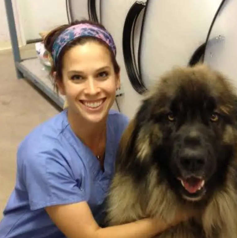 How to Drain a Cyst on Your Cat and Cost Estimates CatWorld