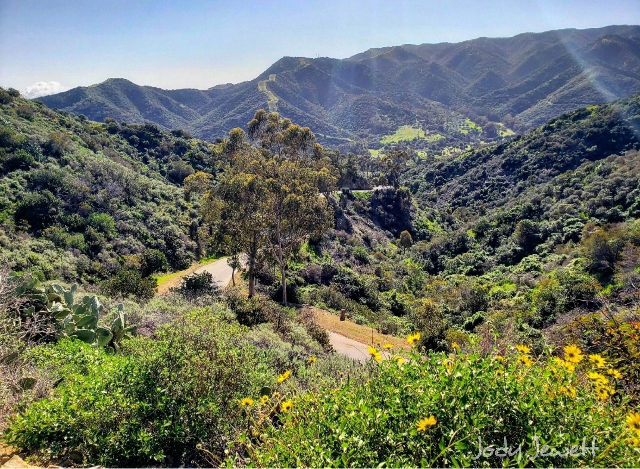 Photo Tour Catalina Golf Cart Rentals