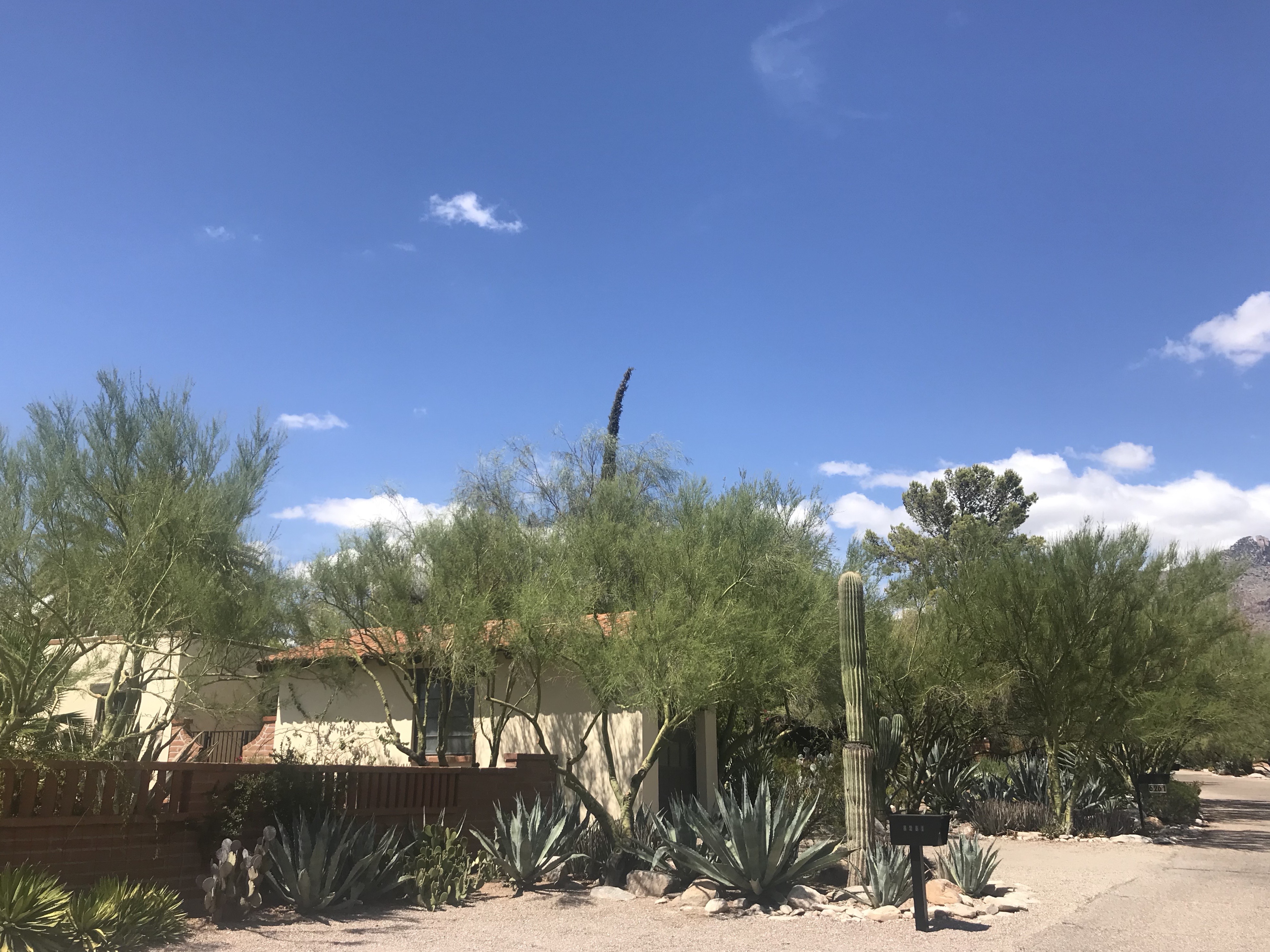 Homes Catalina Pueblo