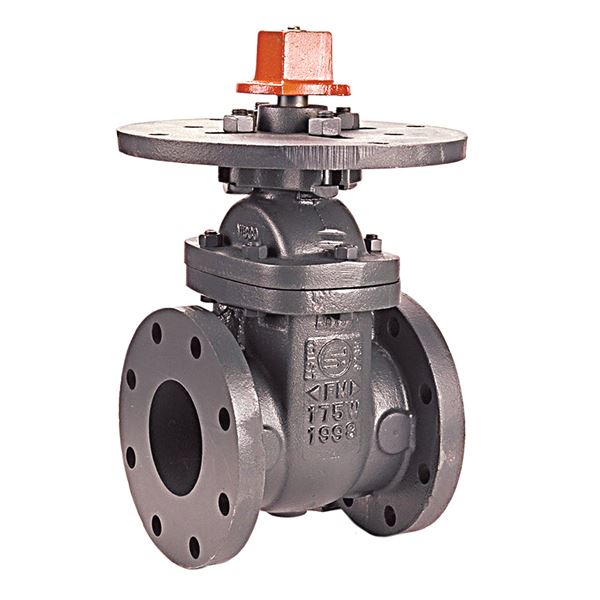 F609 Gate Valve Cast Iron, Fire Protection, Flanged On NIBCO