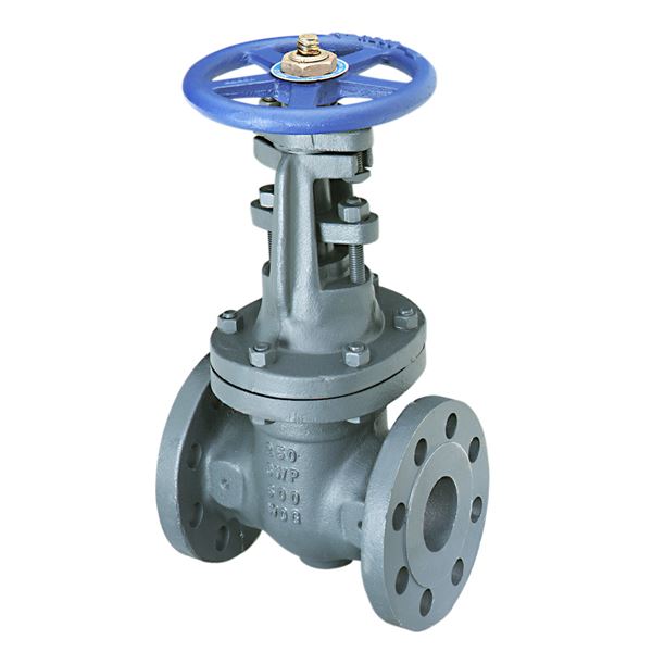 Material Number NHAW00M, F667O Gate Valve Class 250, Cast Iron