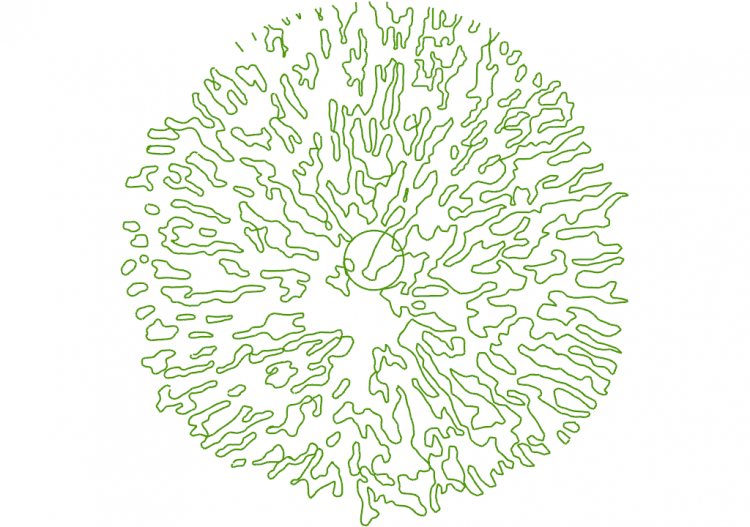 DWG Trees Tree (02) ACCA software