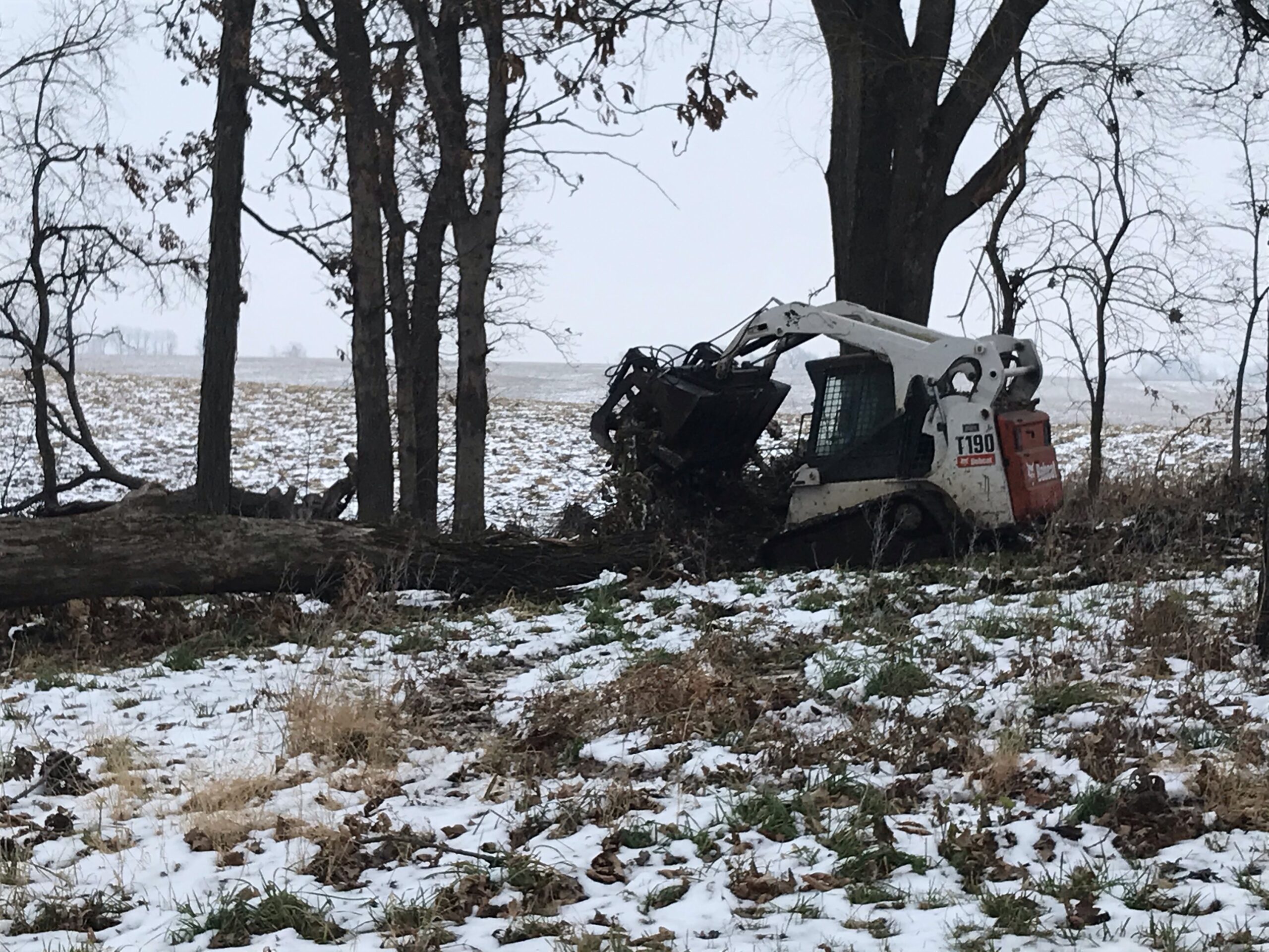 What’s Up, Catalpa? Catalpa Corner Horse Park