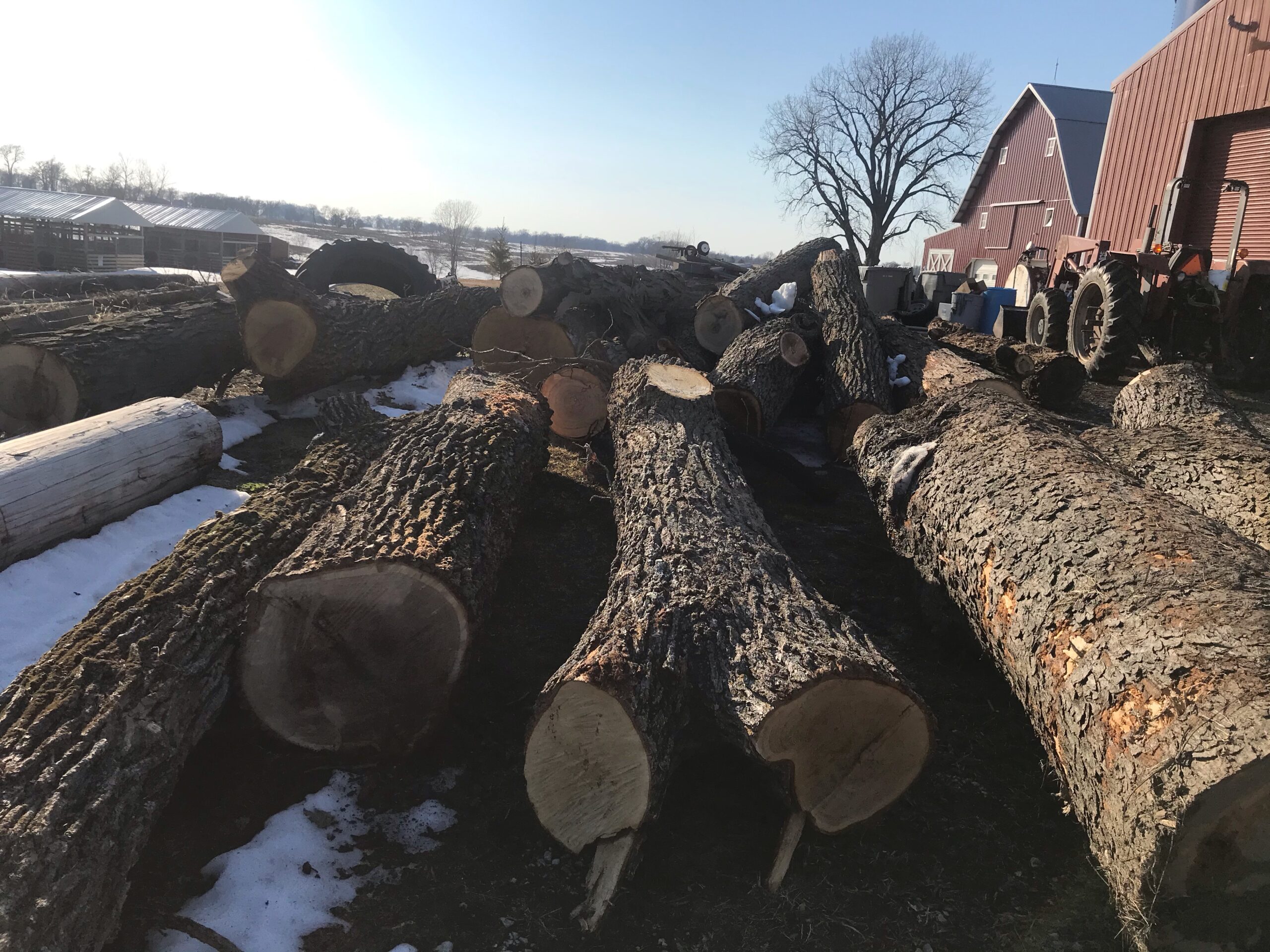 What’s Up, Catalpa? Catalpa Corner Horse Park