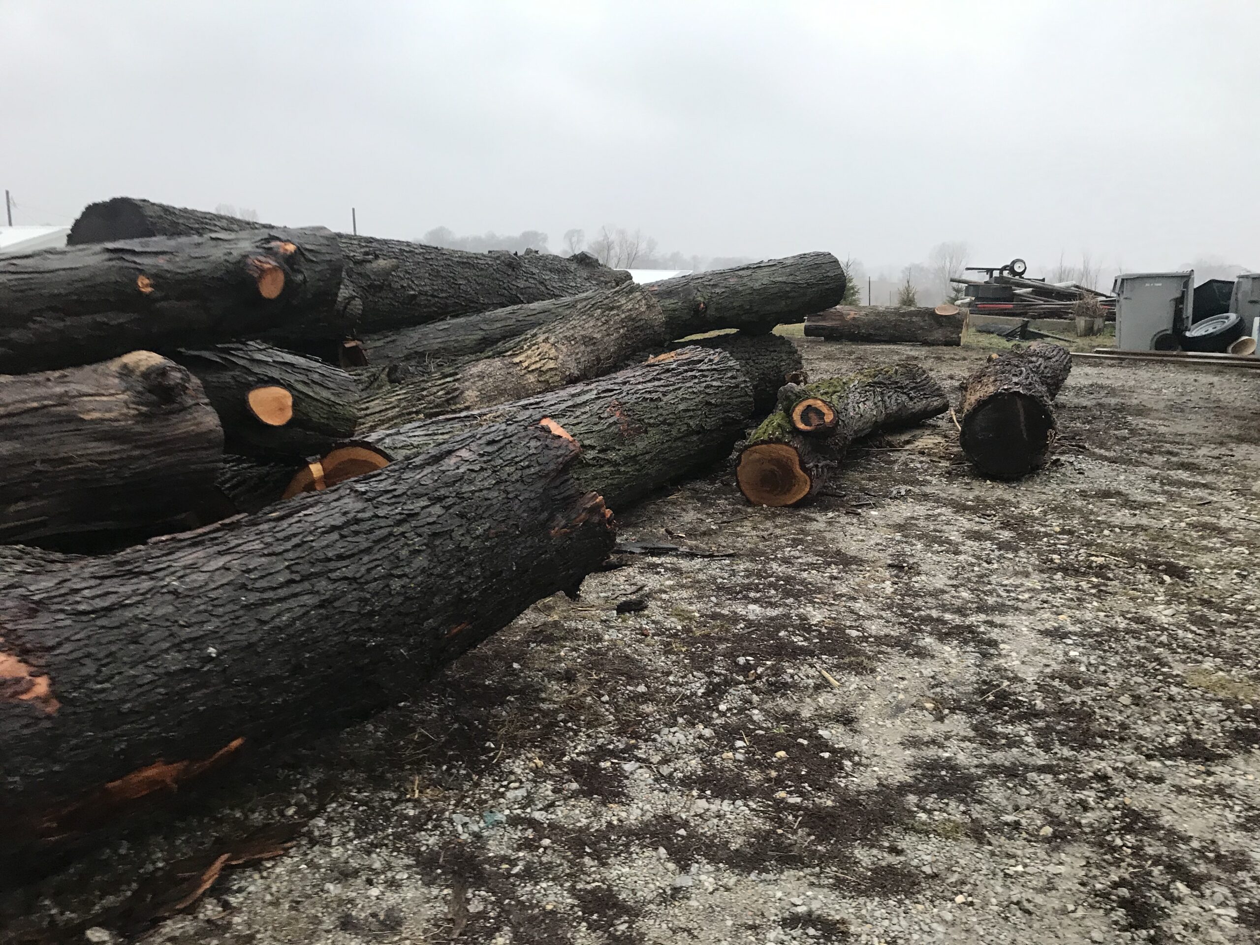 What’s Up, Catalpa? Catalpa Corner Horse Park