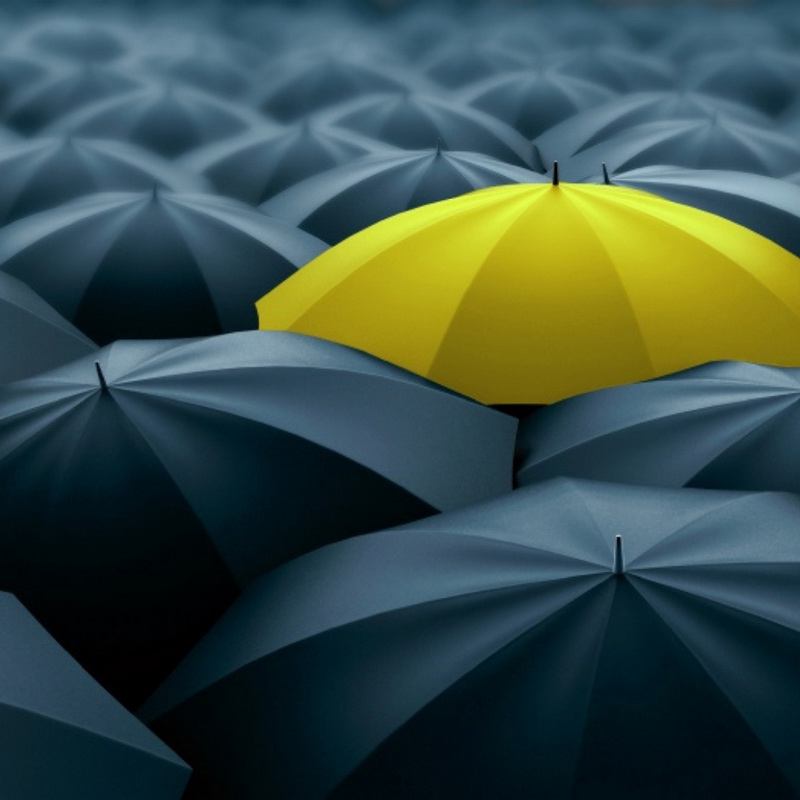 Asset Managers Guide to Differentiation Catalyst Hedge Fund Marketing