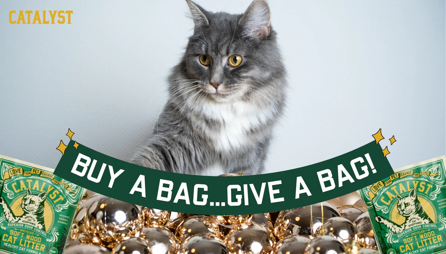 Catalyst Pet Donates Six Tons of Litter to Rescue Partners Catalyst Pet