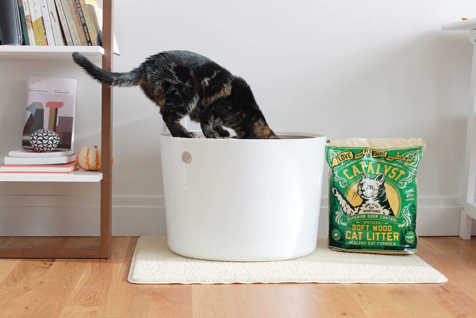 HowTo Use Catalyst Litter Catalyst Pet