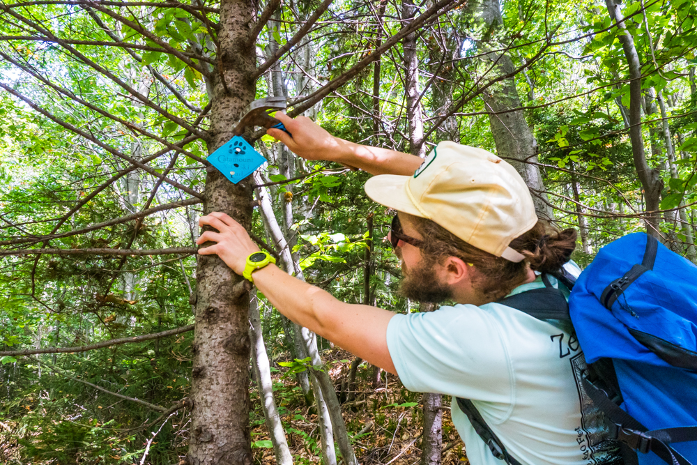 Jobs at the CTA! Catamount Trail Association