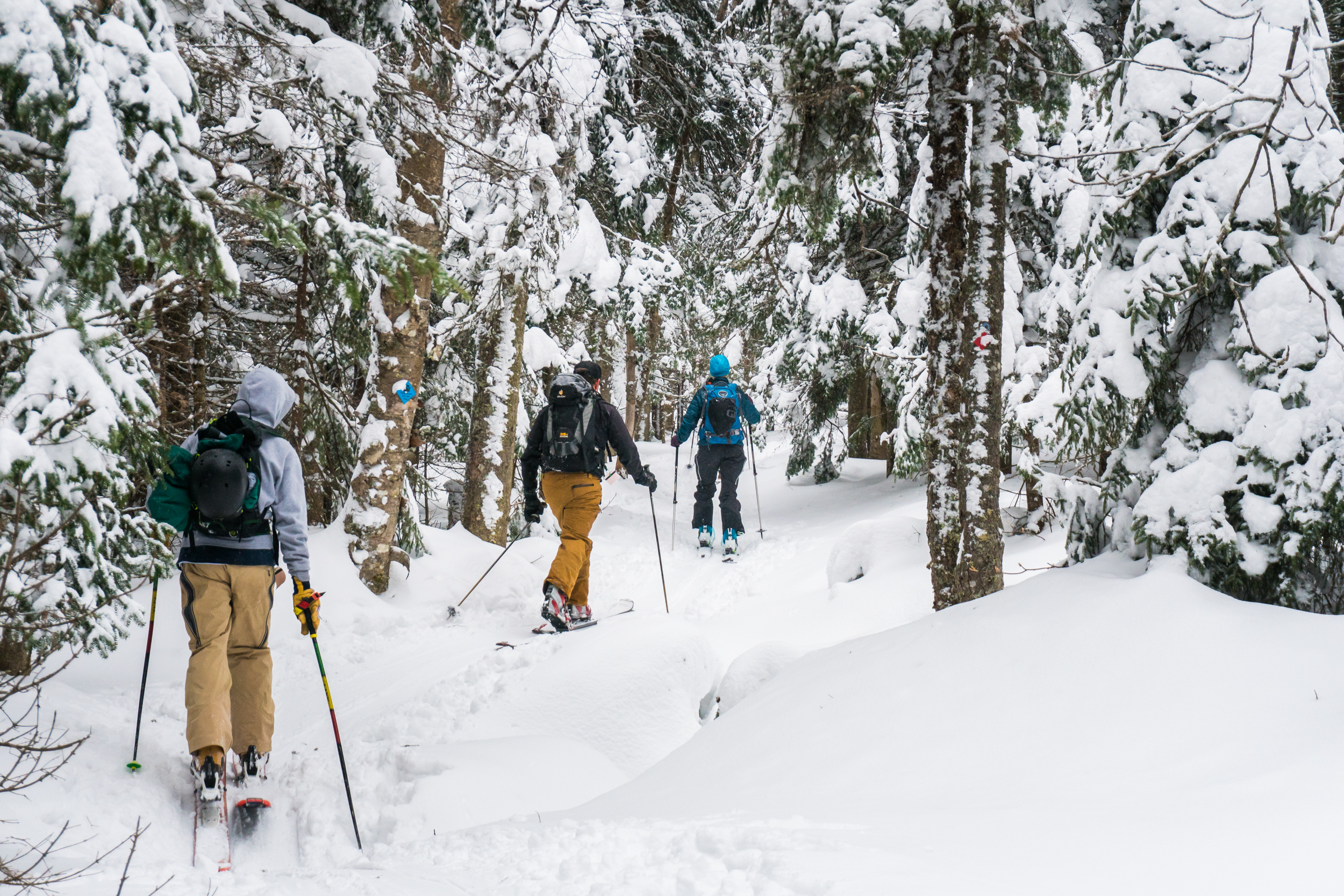 Shuttle Directions List Catamount Trail Association