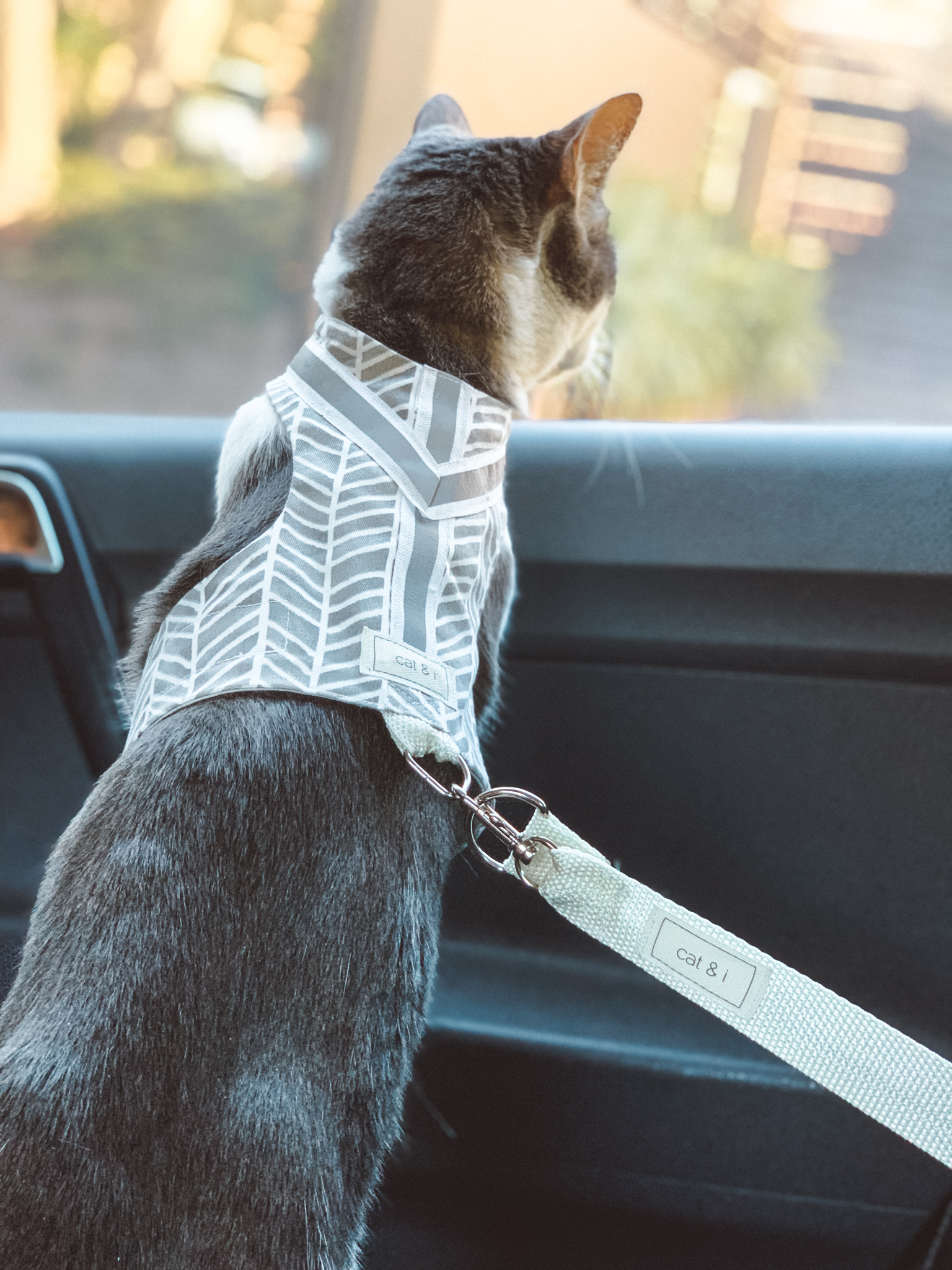 Cat Safety Belt Attachment cat & i