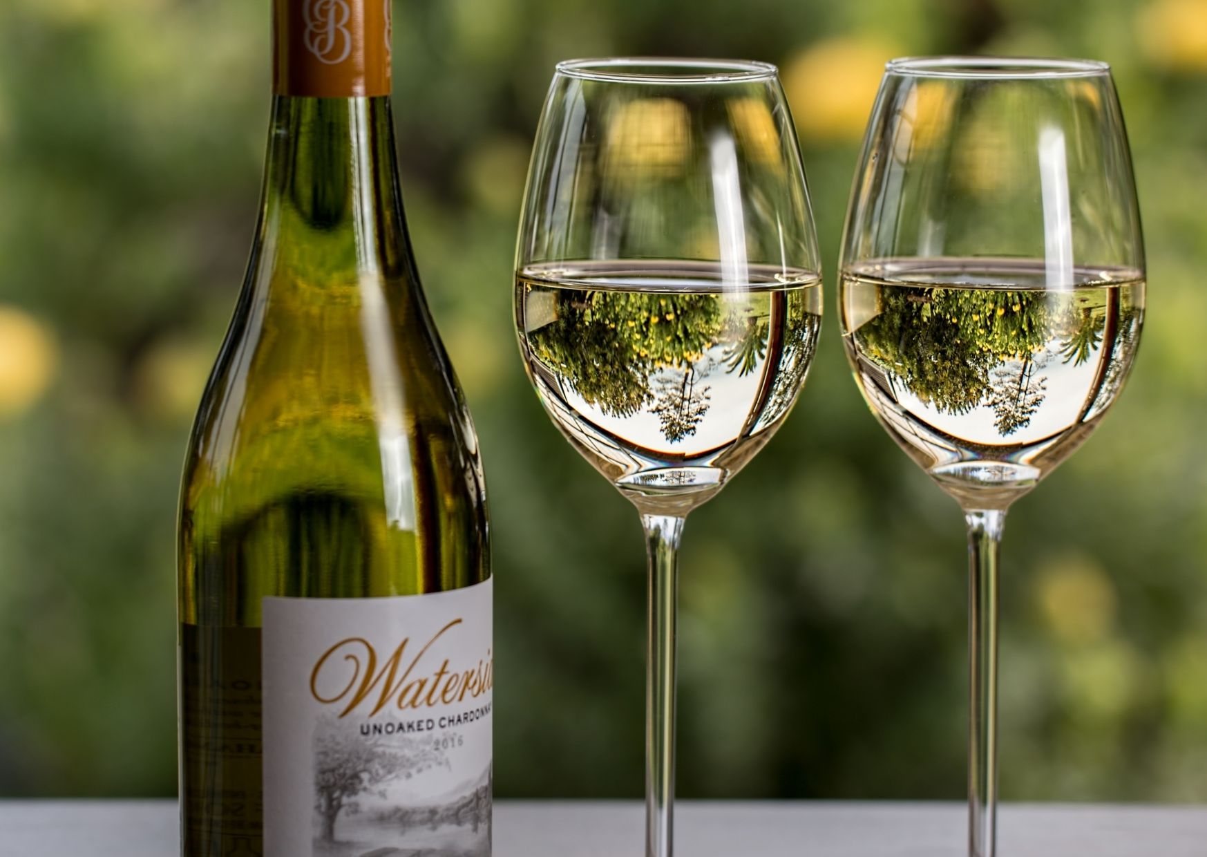 La versatilidad del Chardonnay Catando En Casa