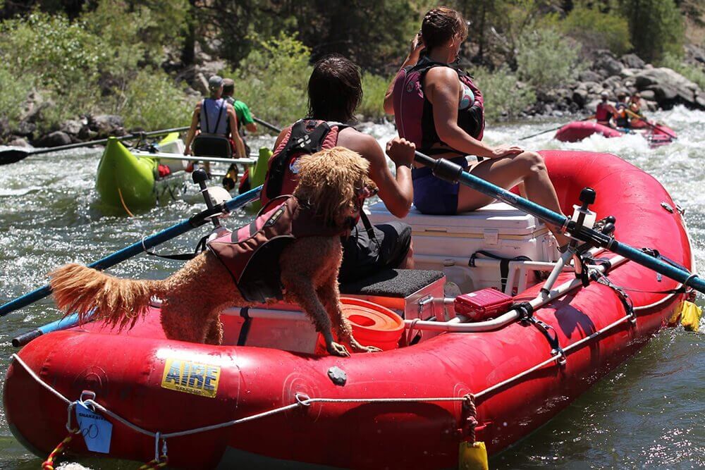 Cataract Oars Best Drift Boat And Rafting Whitewater Oars