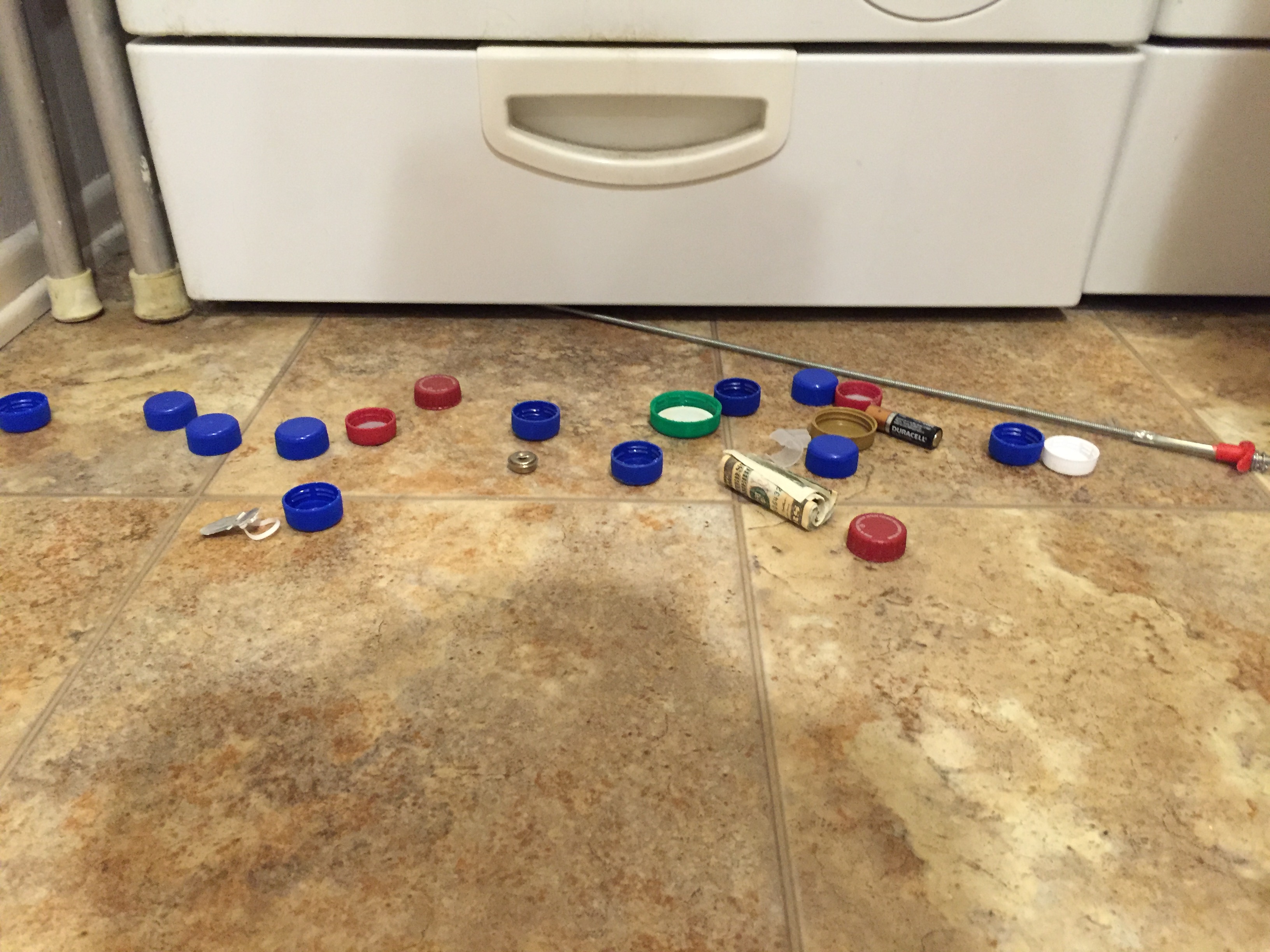 DO CATS NEED TOYS? Cat Authors