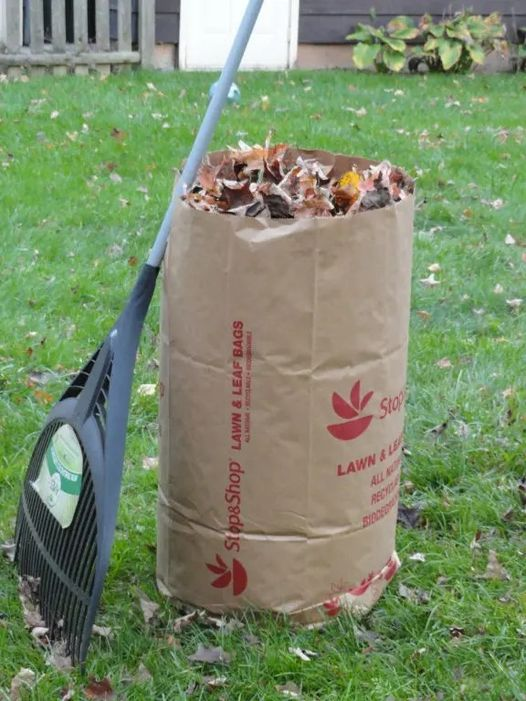 News & Events Catawissa Borough, Pennsylvania Established 1774