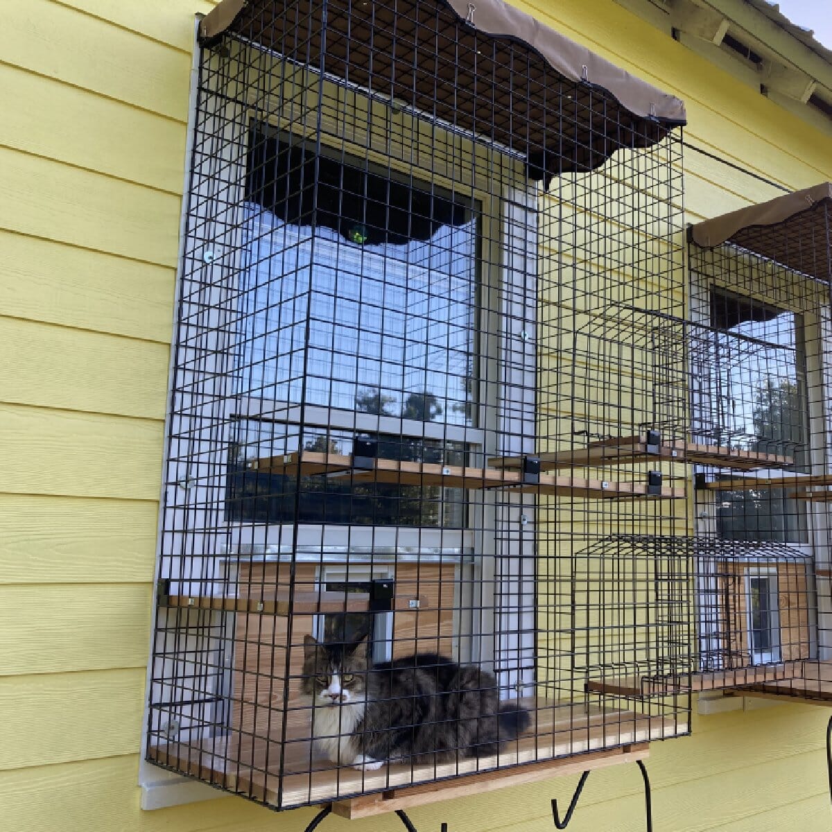 Window Catio Enclosures 380 850