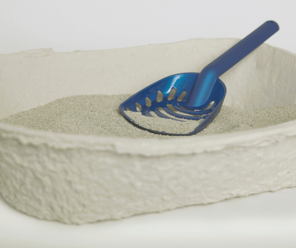 3 Types Of Litter Boxes; How To Choose The Best Litter Tray For Your Cat