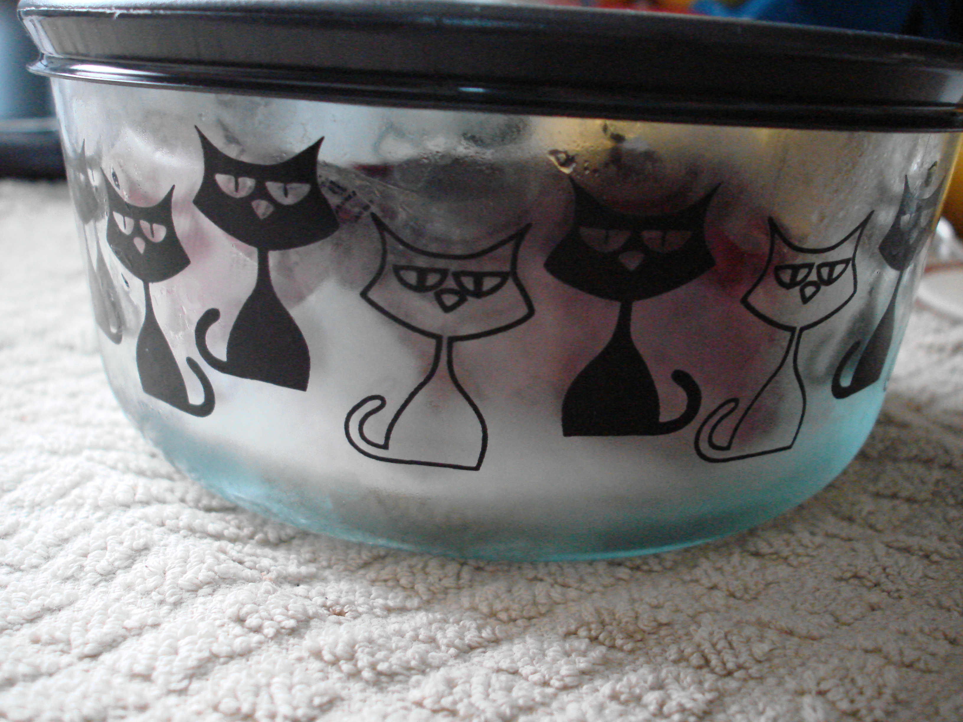cat pyrex glass storage container Cat Caretaker's Guide