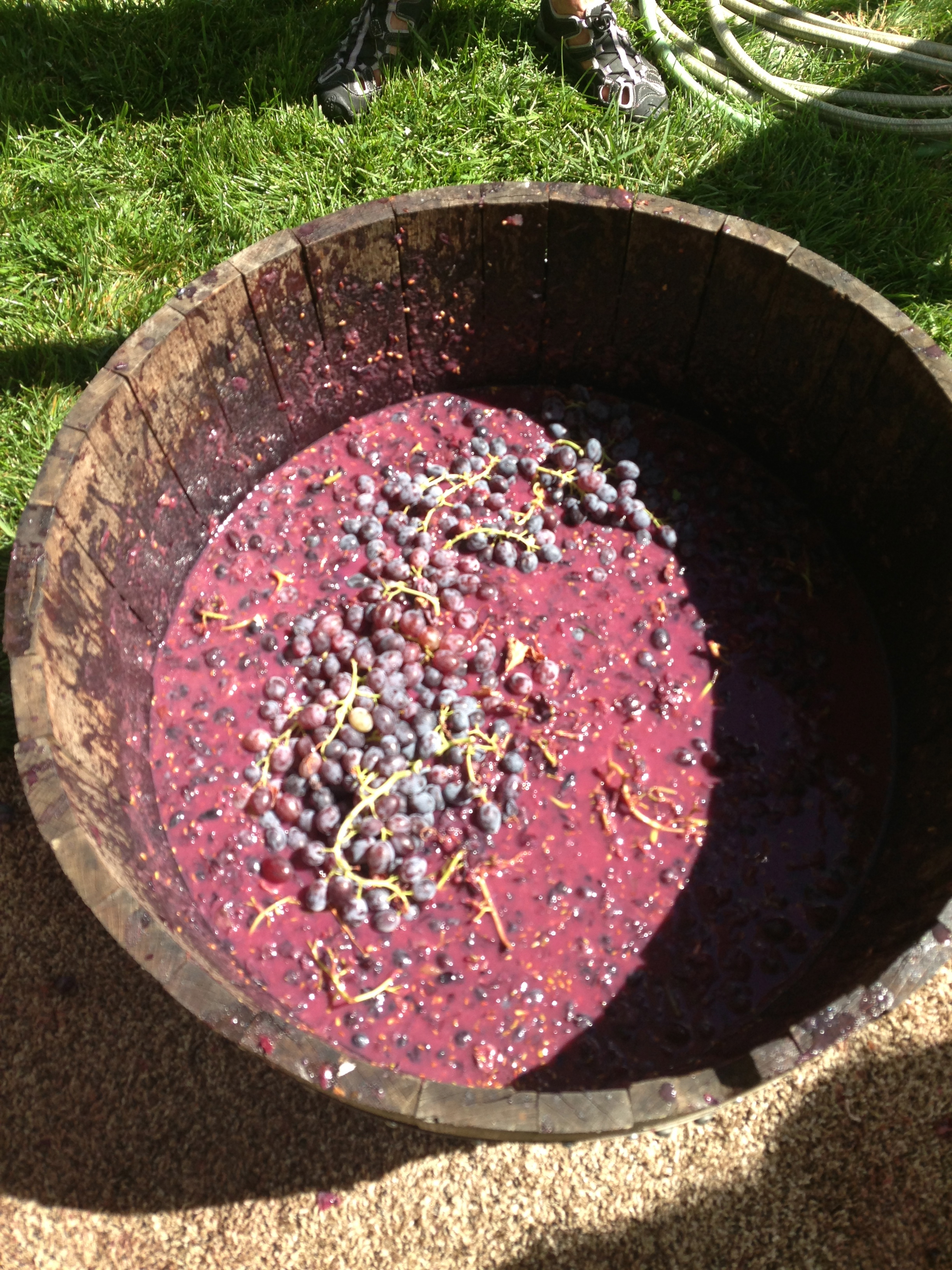 Record Attendece at Colorado Mountain Wine Fest Catch Carri Travel