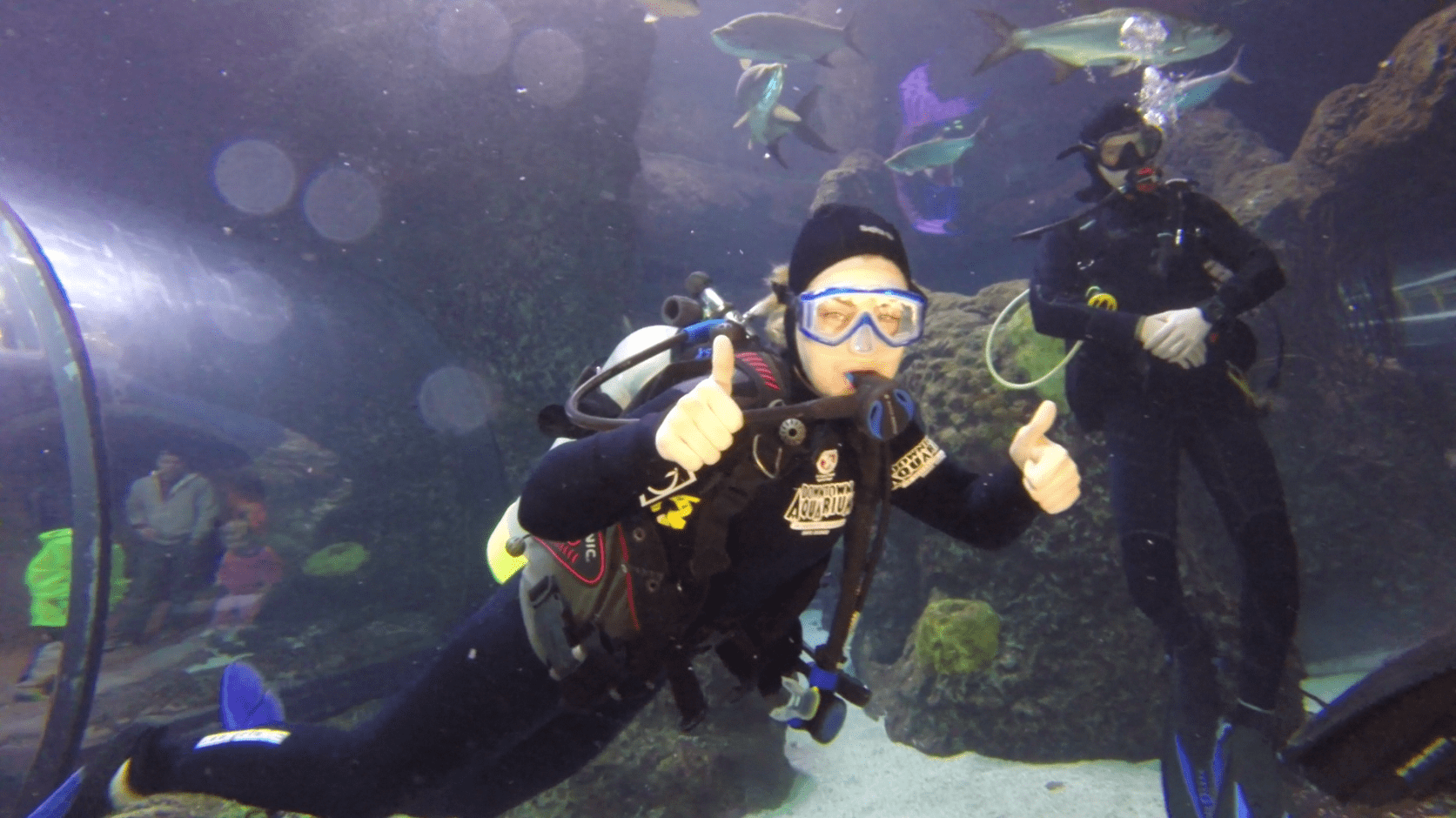 Snorkeling & Scuba Diving at the Downtown Aquarium Denver Catch Carri