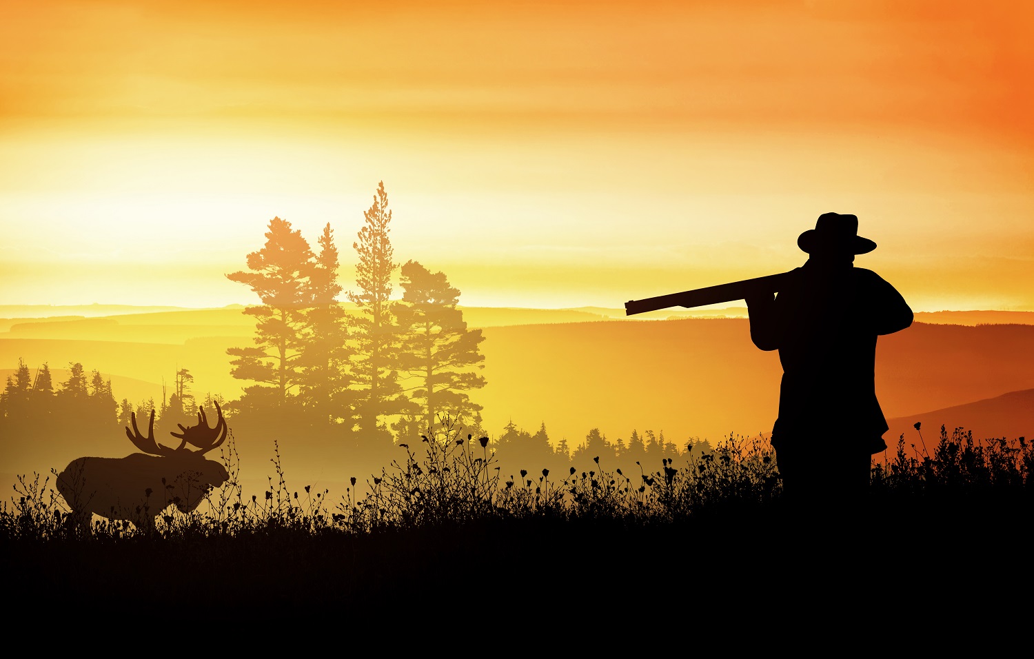 What To Take With You When Moose Hunting Catch Carri Travel Guides