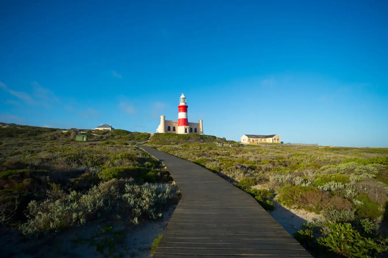 Top 10 Things to do in Cape Agulhas The Tip of Africa