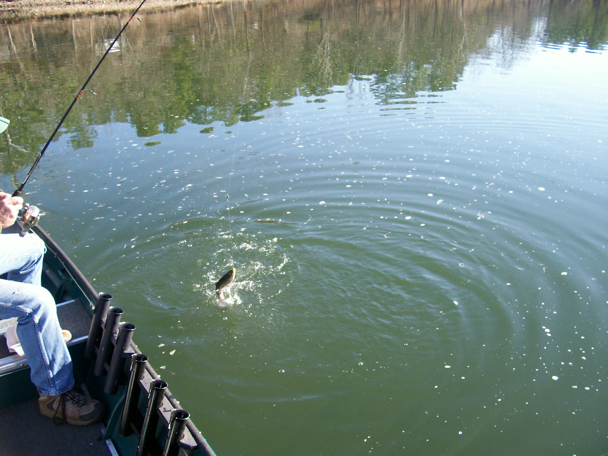 Catch Em All Fishing Marathon Fl at Alan Fritz blog