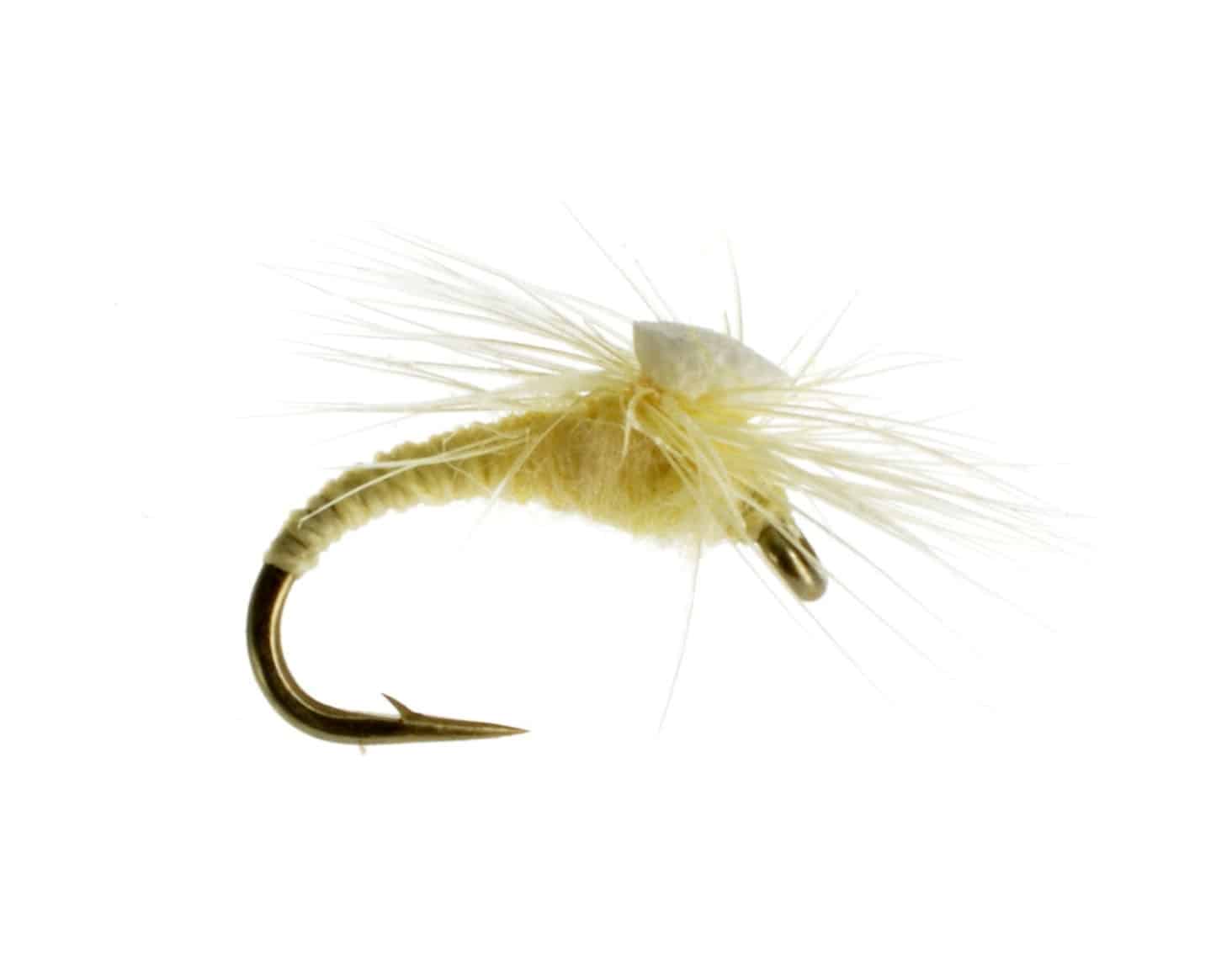 Dry Fly Midges Catch Fly Fishing Billings, Montana