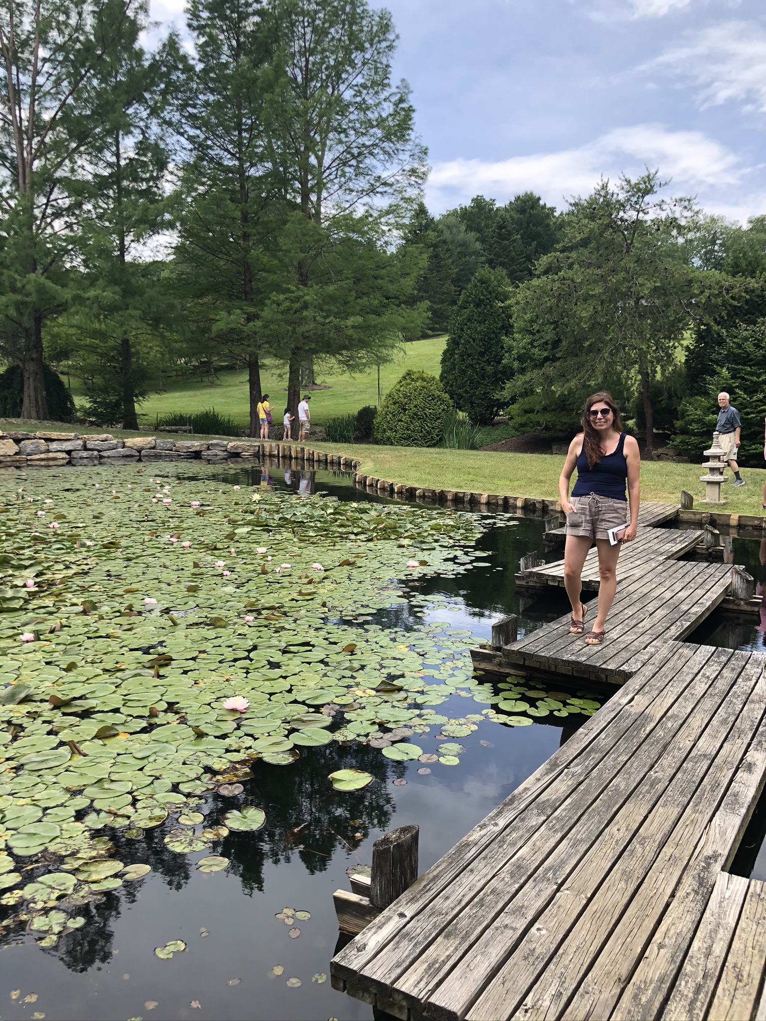 Meadow Garden at Schnormeier Gardens