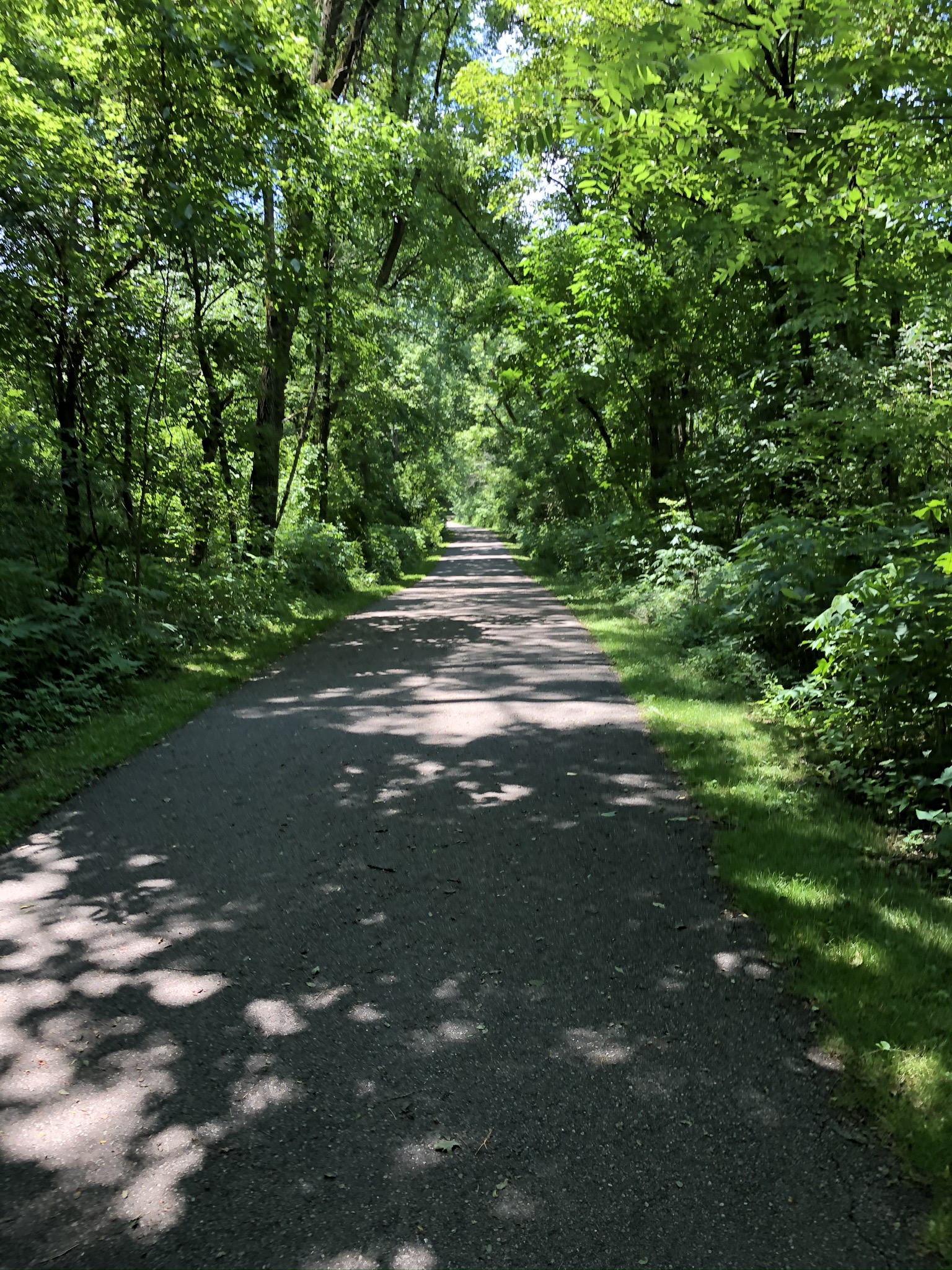 shaded, paved trail at Blackhand Gorge State Nature Preserve