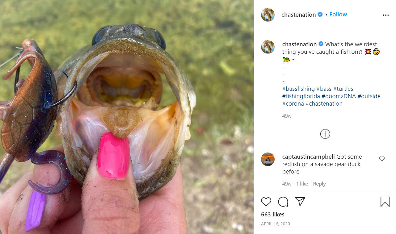 DoomzDay Turtle Lures It's A Bad Day To Be A Bass