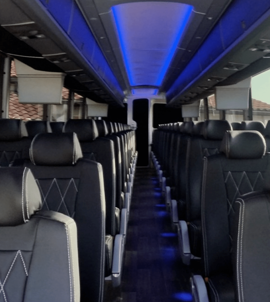 Catch Transportation Catch a ride near you! Catch Transportation