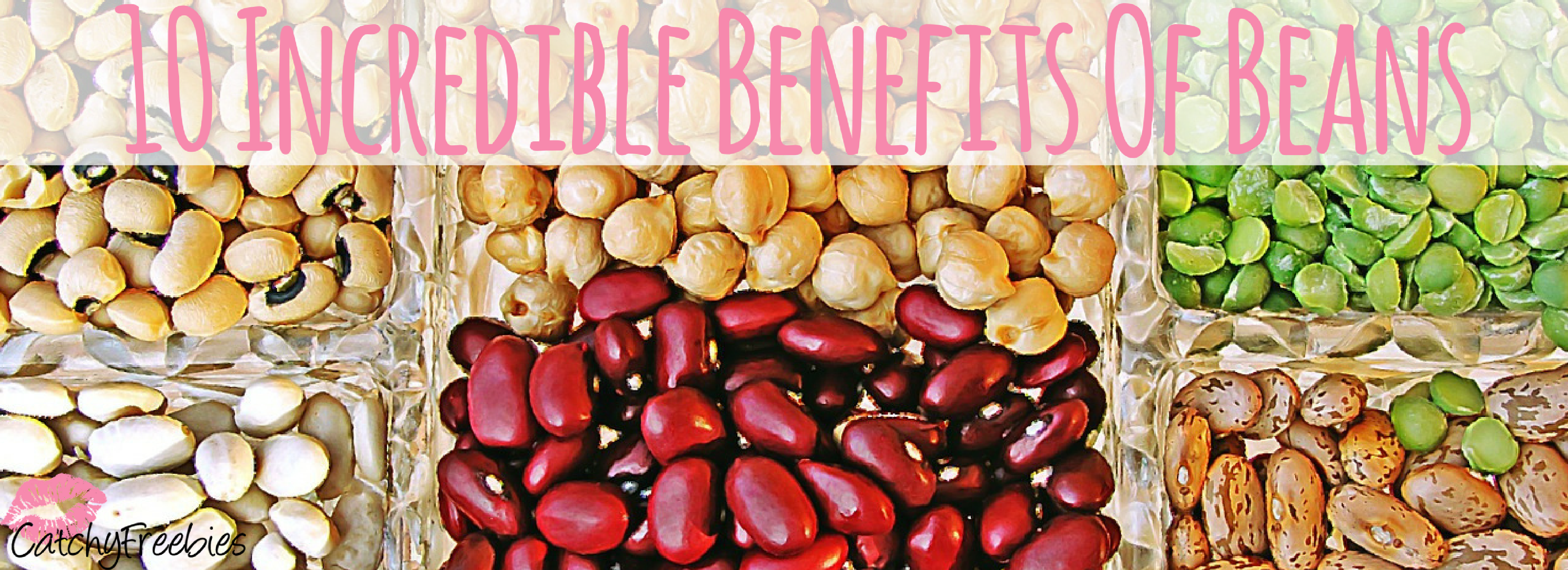 Incredible Benefits Of Beans CatchyFreebies