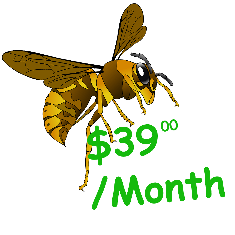 Catchy Pest Solutions General Pest Control Asheville