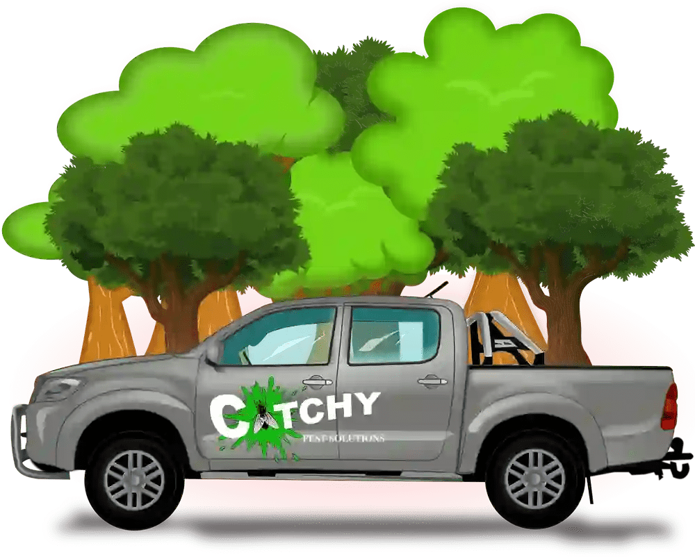 About Catchy Pest Control Asheville