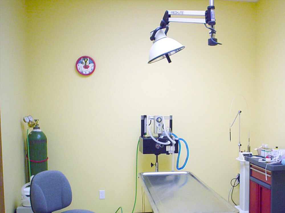 Cat Clinic Virtual Tour Vet Clinic In Iowa City, IA 52240