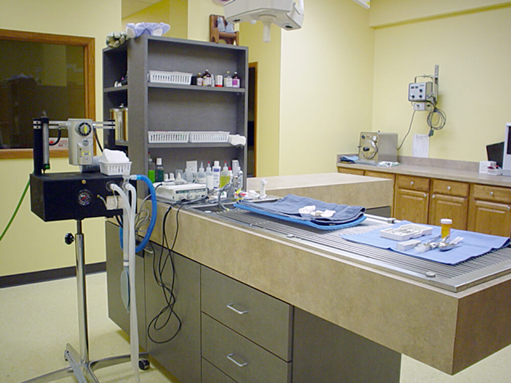 Cat Clinic Virtual Tour Vet Clinic In Iowa City, IA 52240