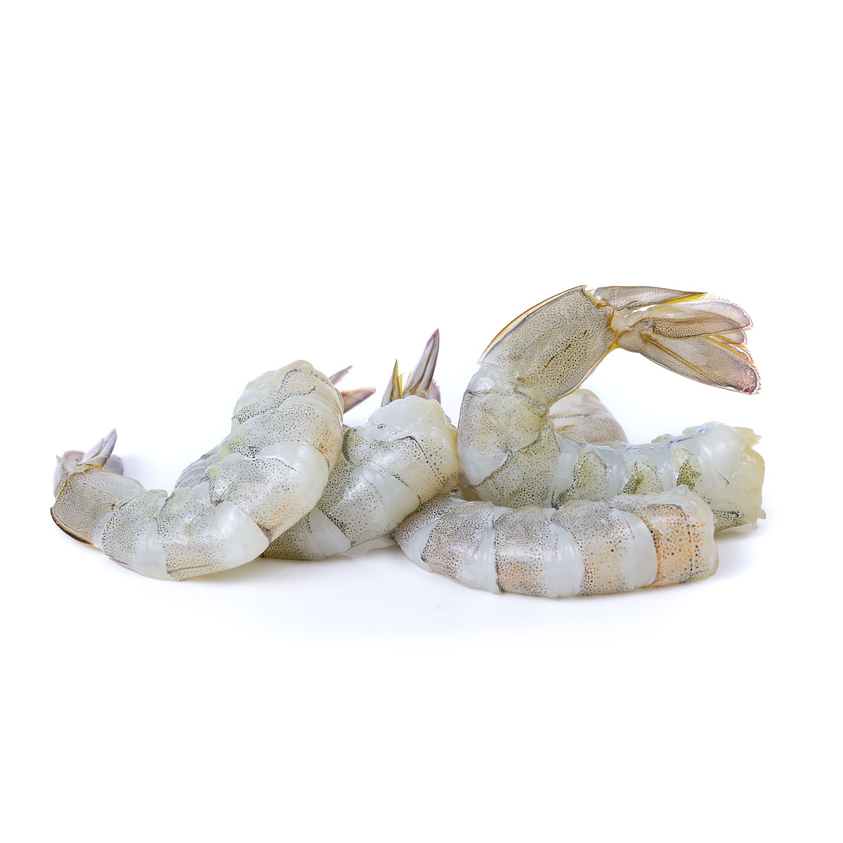 Buy Frozen Raw King Prawns (1kg) Caterfish & Tudor Seafoods