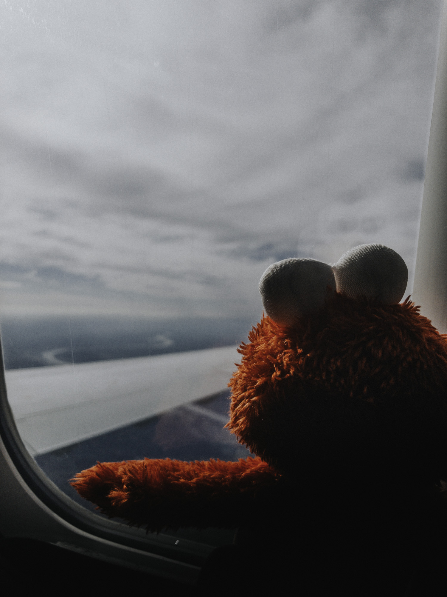 The Adventures of Elmo Dallas, Texas Destination Wedding Photographer