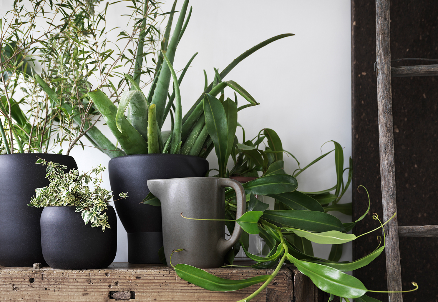 Ikea's SINNERLIG collection by Ilse Crawford cate st hill