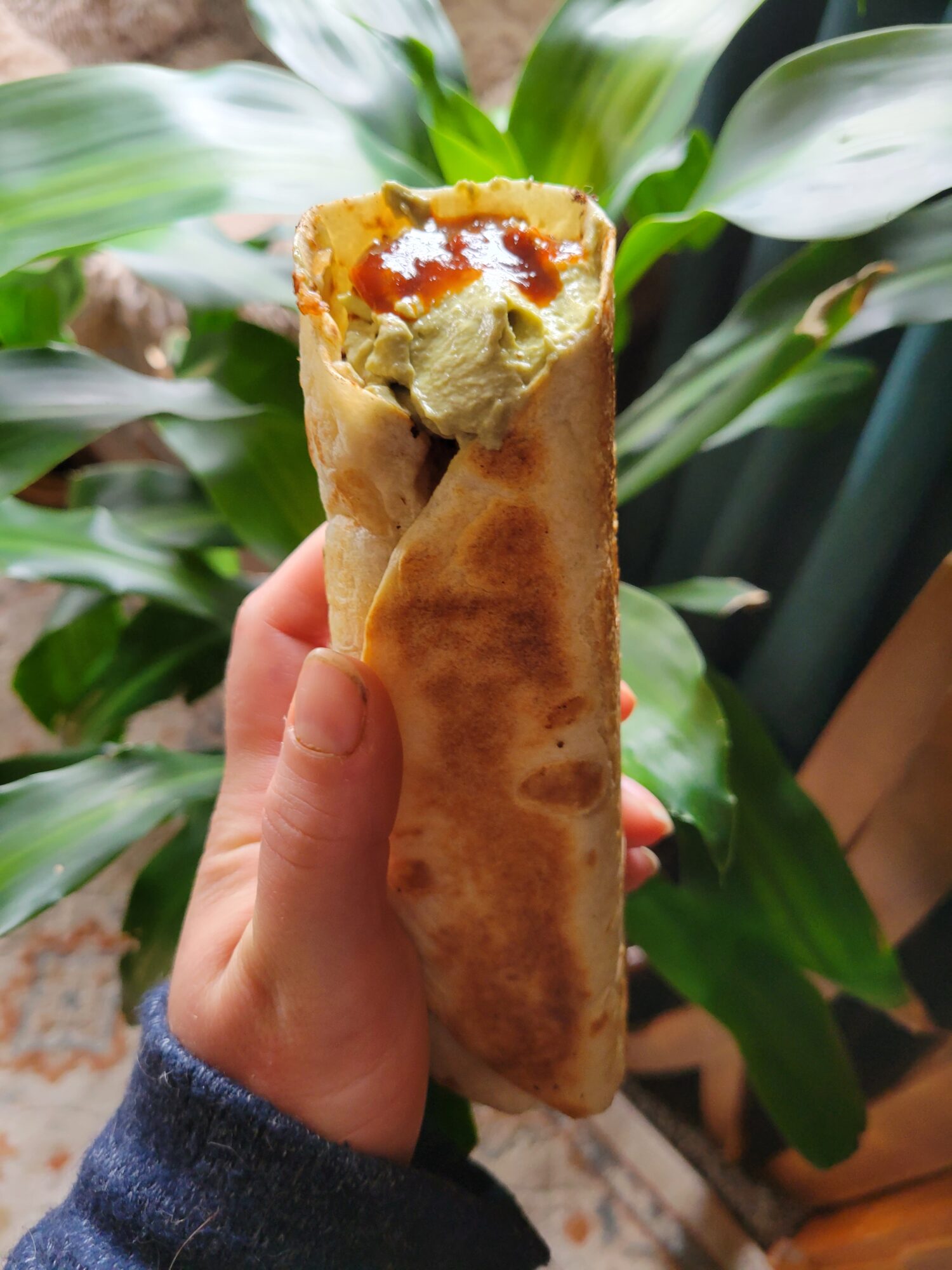 Burrito w/ Blackened Tilapia, Avocado & Vermicelli Catfish Out of Water