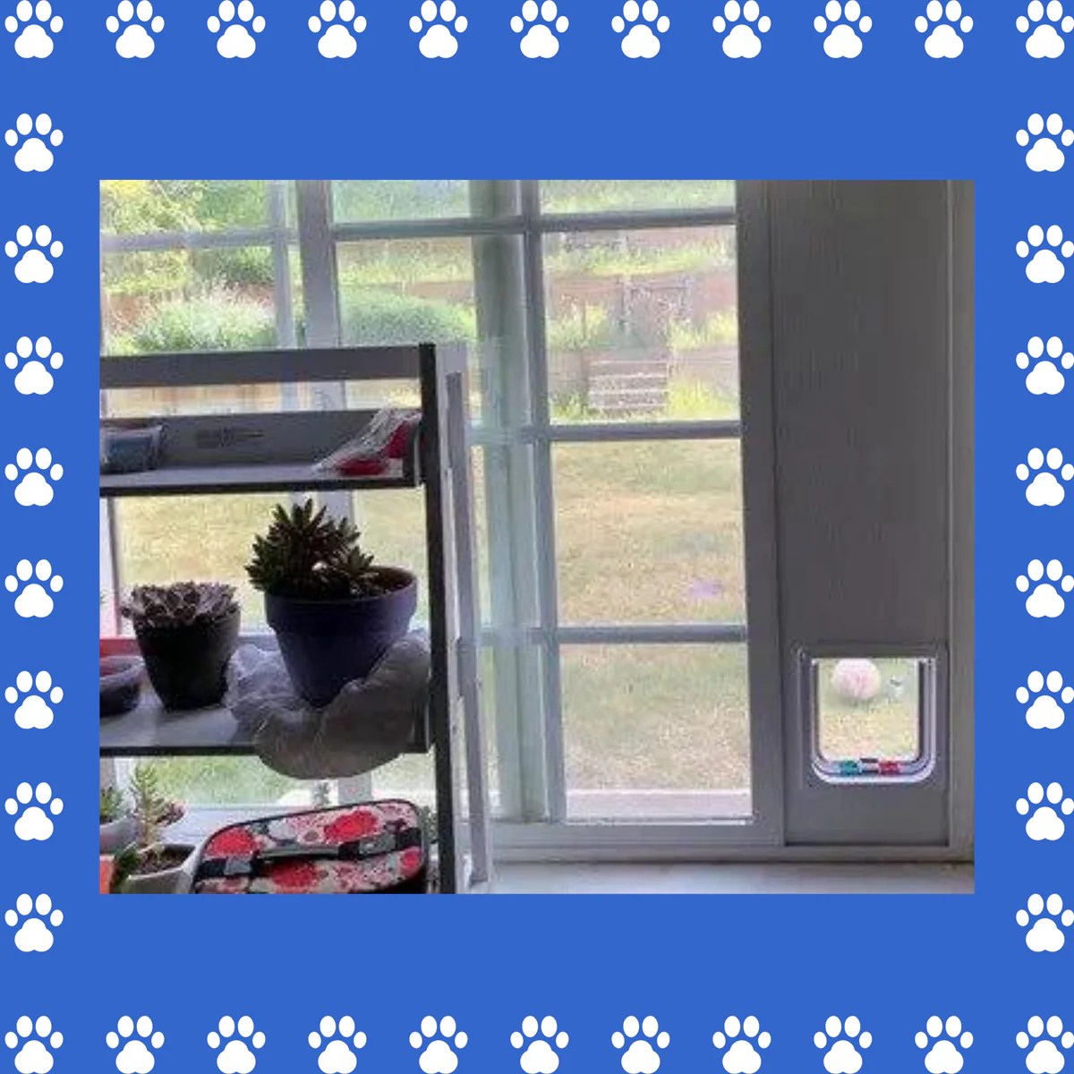 Cat Door Window Insert. Made with solid PVC base and locking flap