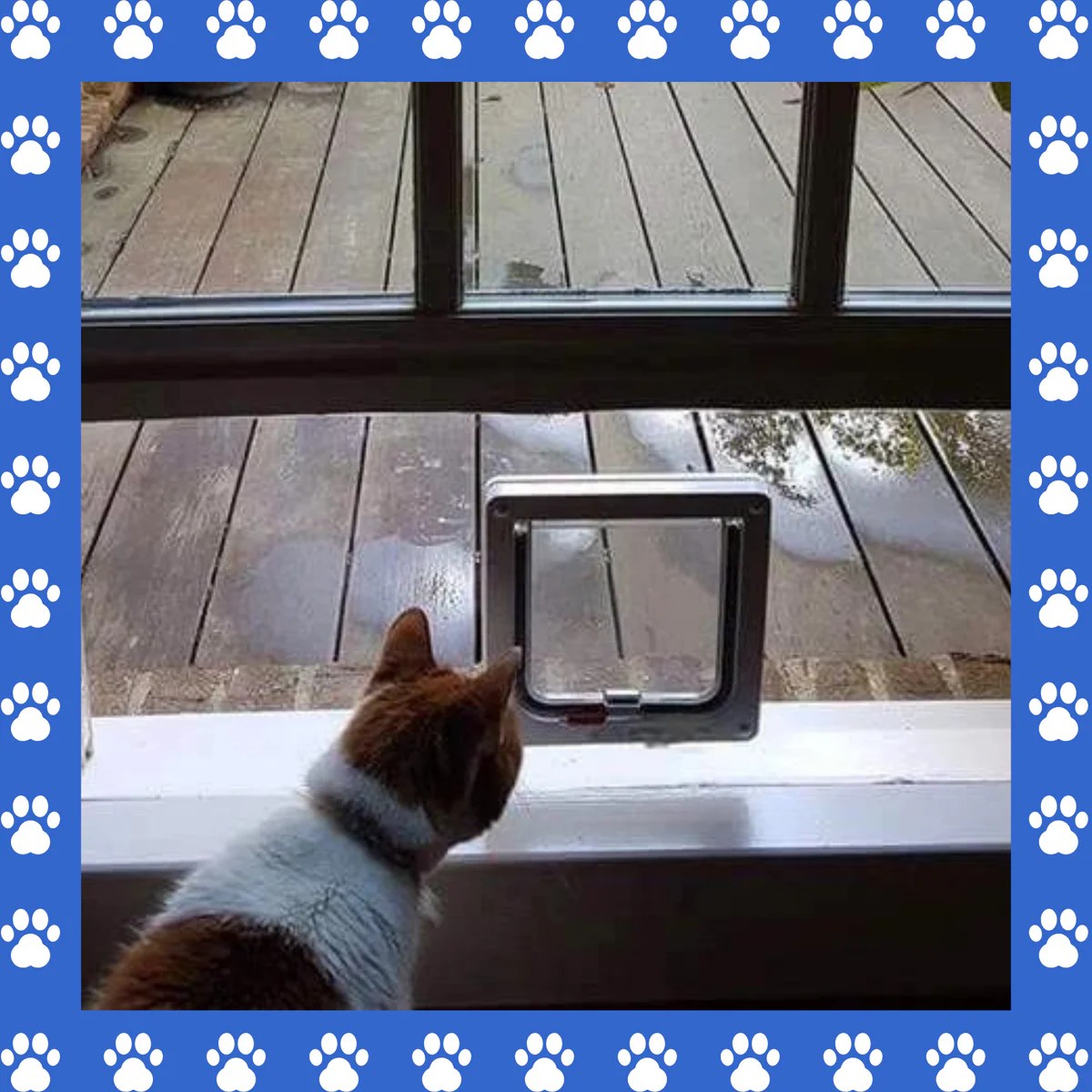 Cat Door Window Insert. Made with solid PVC base and locking flap