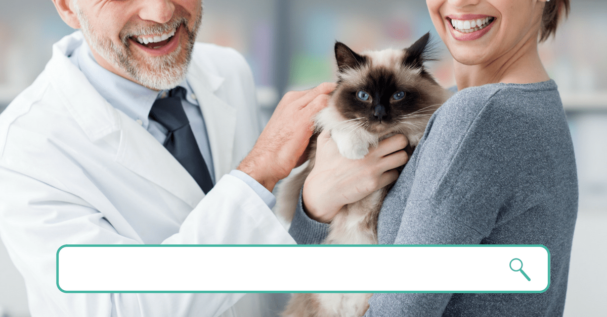 Cat Friendly Homes You Care. We Care. Cat Care. Find it Here.